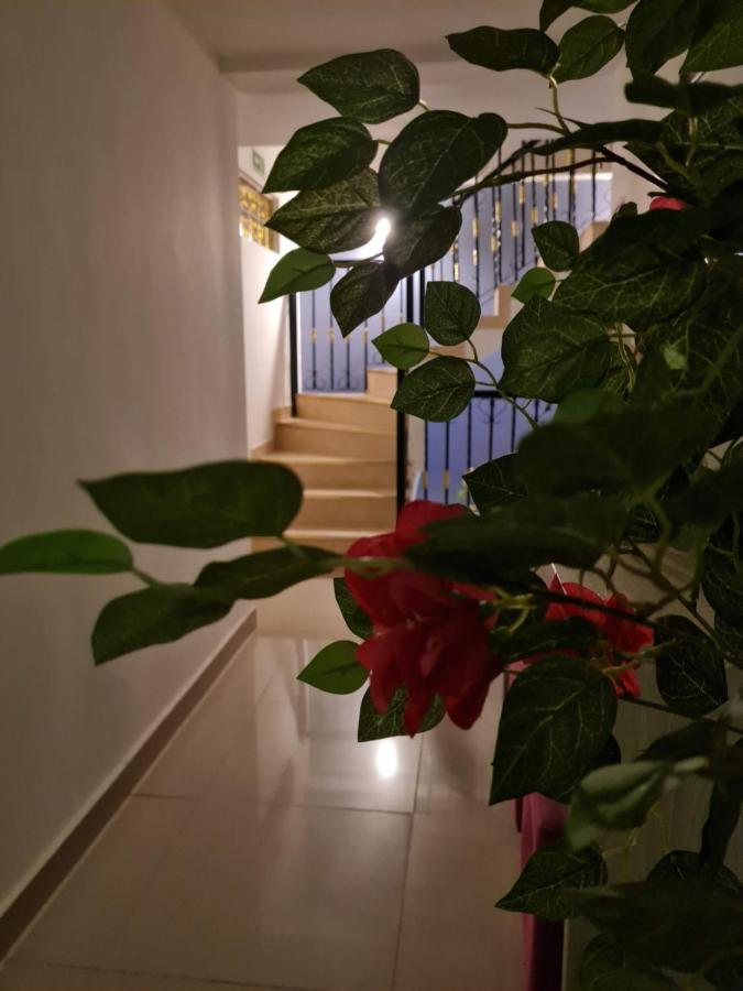 Hotel Carolina Del Mar Santa Marta  Eksteriør billede